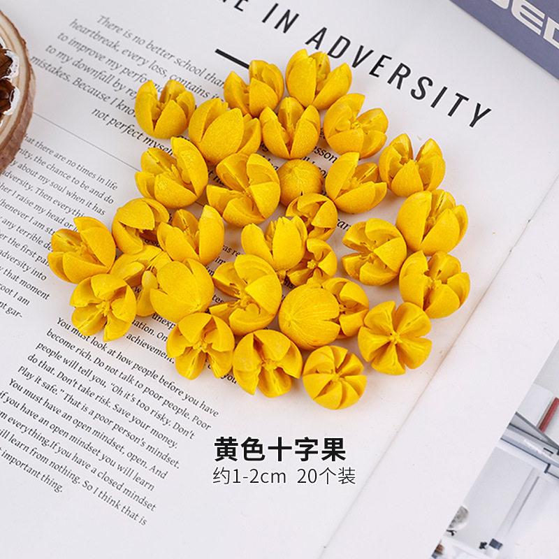 彩色十字果干花永生花装饰手工diy拍摄道具花盒搭配干花开口笑,家居饰品,干花/花瓣/干花包/干树枝,淘宝优惠券,粉丝福利购,淘宝优惠卷