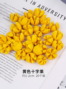 彩色十字果干花永生花装饰手工diy拍摄道具花盒搭配干花开口笑