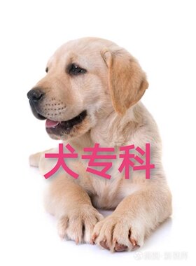 犬专科 宠物医生在线咨询 呕吐拉稀 咳嗽 喷嚏 内科 外科等