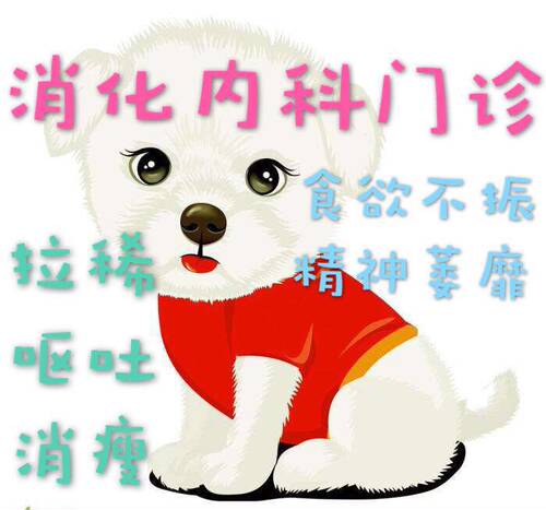 宠物医生线上咨询消化系统疾病呕吐拉稀食欲不振医院兽医在线