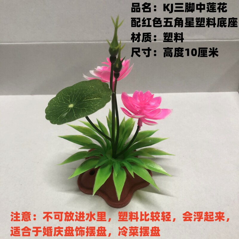 小邹菊酒店餐厅婚庆盘饰摆盘樱花图片