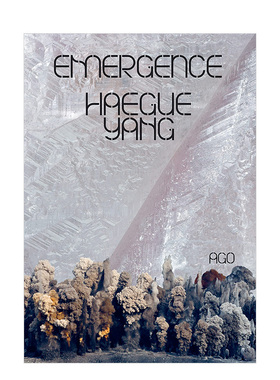 【现货】梁惠圭：浮现 当代艺术作品集 拼贴雕塑装置画册 Haegue Yang: Emergence 英文原版进口书籍