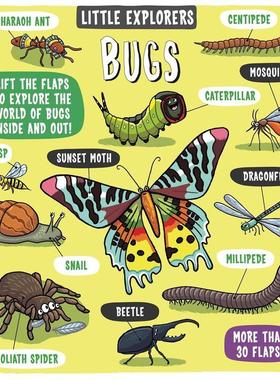 【现货】【小探险家】昆虫 Little Explorers: Bugs 原版英文儿童绘本图书