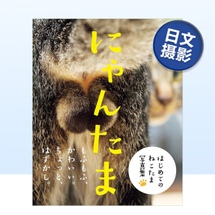 写真集 现货 公猫 日文猫咪摄影作品集日本原版 进口艺术画册书籍 日本摄影师芳澤 にゃんたま 偶然 可爱 ルミ子