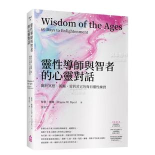 每日灵性练习 灵性导师与智者 爱与其它 心灵对话：关于冥想 孤独 繁体中文 现货 其他类原版 书