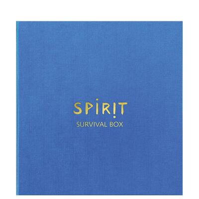 【预售】迪特尔?胡贝尔：精神，生存之盒 Dieter Huber 原版英文艺术画册画集图书书籍