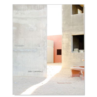 黛比·康沃尔必要的小说Debi