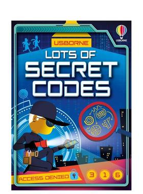 【预售】密码大集合 Lots of Secret Codes 原版英文儿童绘本图书书籍