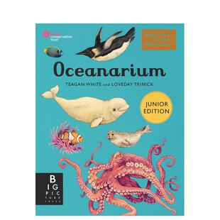 【现货】欢迎来到博物馆系列 海洋馆 Oceanarium(Junior Edition) 英文原版海洋生物知识青少年英语课外阅读自然百科普认知图书