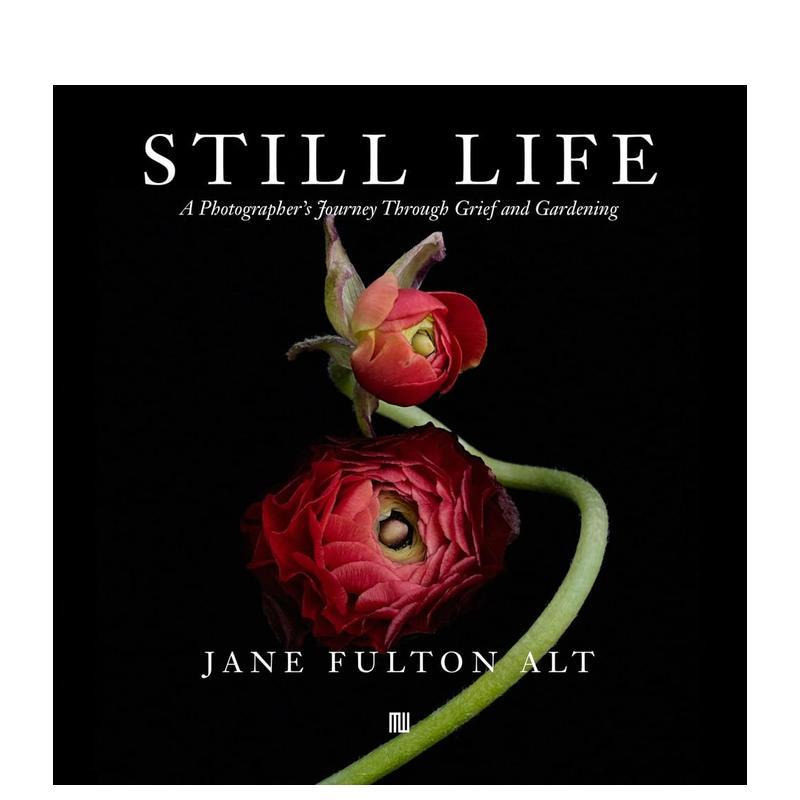 【预售】简·富尔顿·阿尔特:静物画作合集 Jane Fulton Alt: Still Life 原版英文摄影作品集
