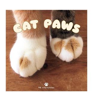 小手爪子 PIE出版 预售 猫猫爪子特写写真摄影作品集进口艺术画册宠物摄影 英文原版 Cat 可爱猫咪 Paws