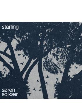 【现货】丹麦摄影师Soren Solkr：椋鸟 Soren Solkr: Starling 原版英文摄影自然景观图书