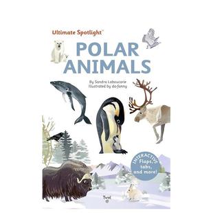 【现货】【焦点翻翻立体书】极地动物 【Ultimate Spotlight】Polar animals 原版英文儿童趣味图书