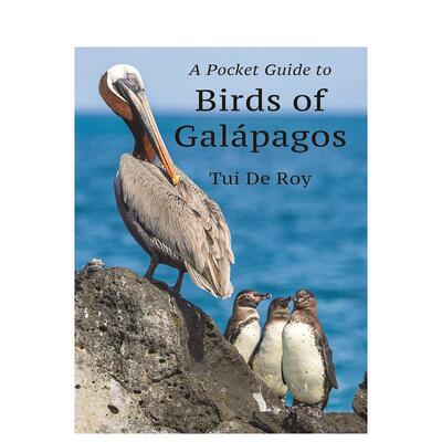 【预售】加拉帕戈斯群岛的鸟类指南 A Pocket Guide to Birds of Galapagos 原版英文社会科学图书