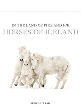 【预售】火与冰之地：冰岛马群 In the Land of Fire and Ice :Horses of Iceland 原版英文摄影作品集自然景观图书