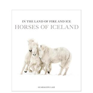 【预售】火与冰之地:冰岛马群 In the Land of Fire and Ice :Horses of Iceland 原版英文摄影作品集自然景观图书