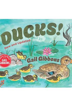 【预售】鸭子！（新版更新） Ducks! (New & Updated) 原版英文儿童绘本图书