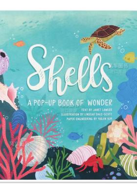 【预售】四季立体书系列 贝壳:夏日 Shells:A Pop-Up Book of Wonder(4 Seasons of Pop-Up) 英文版儿童3d立体书 Yoojin Kim绘本