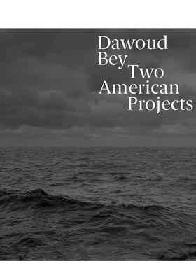 【预售】达乌德贝:两个美国项目 Dawoud Bey: Two American Projects 原版英文摄影作品集纪实图书