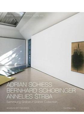 【预售】国际知名瑞士艺术家藏品集 Adrian Schiess - Bernhard Schobinger - Annelies Strba  原版英文艺术画册画集图书