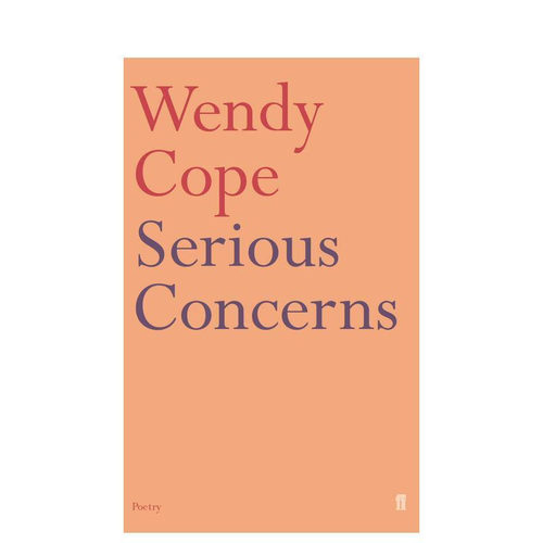 严肃关切 【Wendy Cop