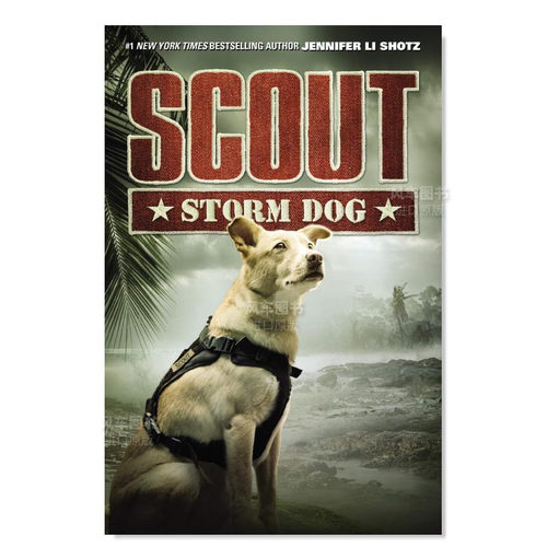 童子军风暴的狗ScoutStorm