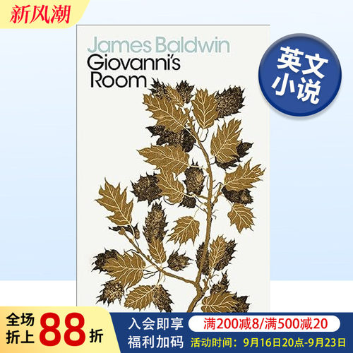 乔凡尼的房间英文小说