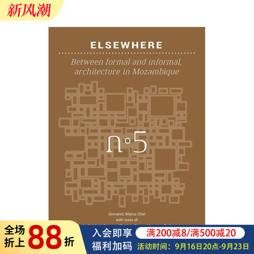 他方：正式与非正式之间：莫桑比