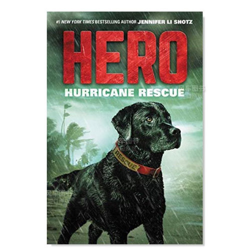 英雄飓风营救HeroHurricane