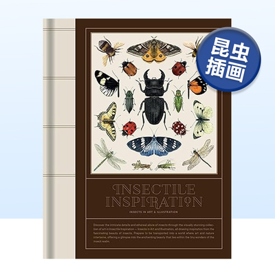 昆虫灵感InsectileInspiration