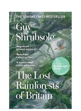 【现货】【神奇制作】蝴蝶套装 【INCREDIBUILDS】BUTTERFLY 3D WOOD MODEL 原版英文儿童趣味图书