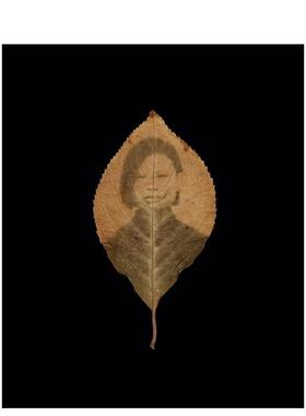 【预售】归属之谜 Binh Danh: The Enigma of Belonging 原版英文摄影作品集图书