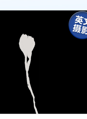 【预售】Nausea恶心眩晕 摄影师Ron Jude单调空间和物体视觉传达作品集 英文原版进口画册MACK出版摄影集书籍艺术