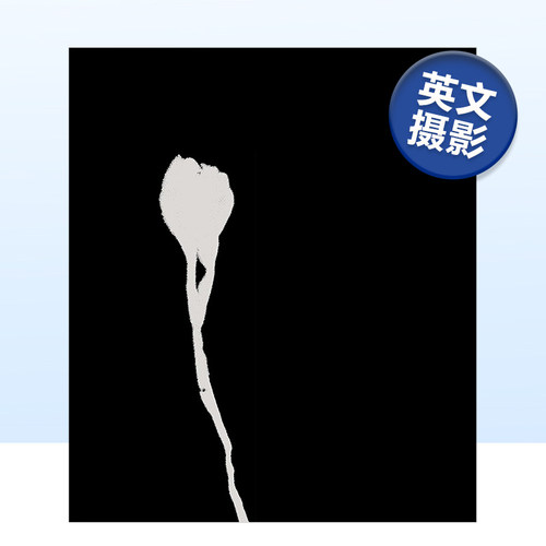 【预售】Nausea恶心眩晕 摄影师Ron Jude单调空间和物体视觉传达作品集 英文原版进口画册MACK出版摄影集书籍艺术