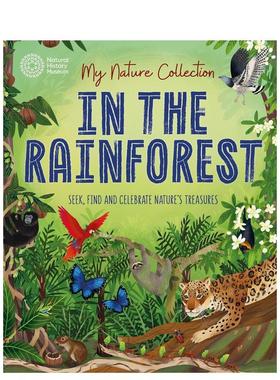 【预售】我的自然收藏：在雨林中（平装） My Nature Collection: In the Rainforest 原版英文儿童绘本图书