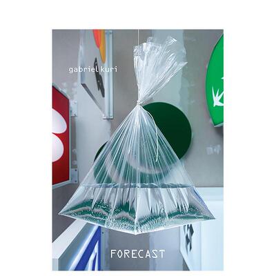 【预售】墨西哥雕塑家Gabriel Kuri：预测 Gabriel Kuri: Forecast 原版英文艺术画册画集图书