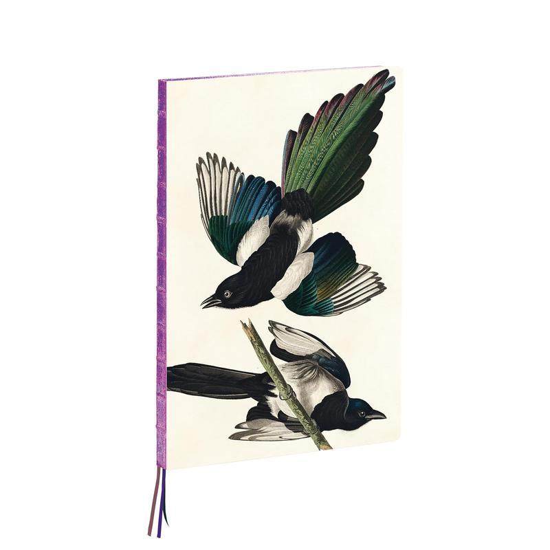 【预售】奥杜邦喜鹊A4笔记本 Magpies， James Audubon A4 Notebook 原版笔记本Notebook图书,书籍/杂志/报纸,原版其它,淘宝优惠券,粉丝福利购,淘宝优惠卷