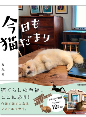 今天也是猫咪聚集摄影作品日も