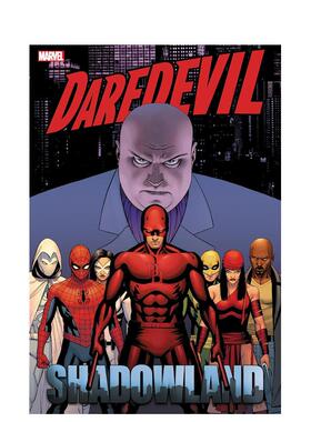 【预售】漫威漫画 夜魔侠 暗影大陆 合集 Daredevil: Shadowland Omnibus Cassaday Cover 英文漫画书原版进口美漫漫画书籍