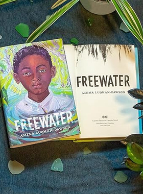 【现货】自由水 Freewater 2023年纽伯瑞文学奖金奖 Amina Luqman-Dawson 英文原版儿童故事书8-12岁青少年读物 蓝思阅读分级690L