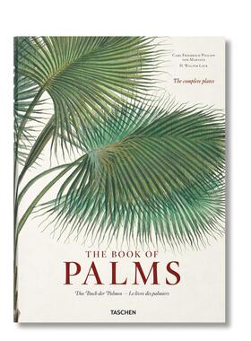 【现货】马修斯：棕榈书 Martius: The Book of Palms 原版英文艺术画册画集图书