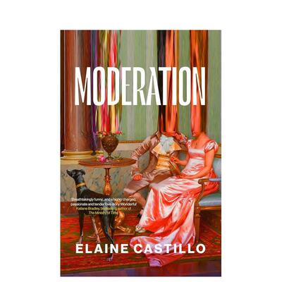 【预售】内容审核 Moderation 《时代》杂志精选必读书籍 原版英文文学小说 一个温柔又充满力量的爱情故事图书书籍