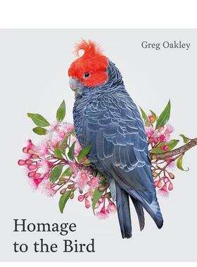 【预售】飞鸟礼赞 Homage to the Bird 原版英文艺术画册画集图书