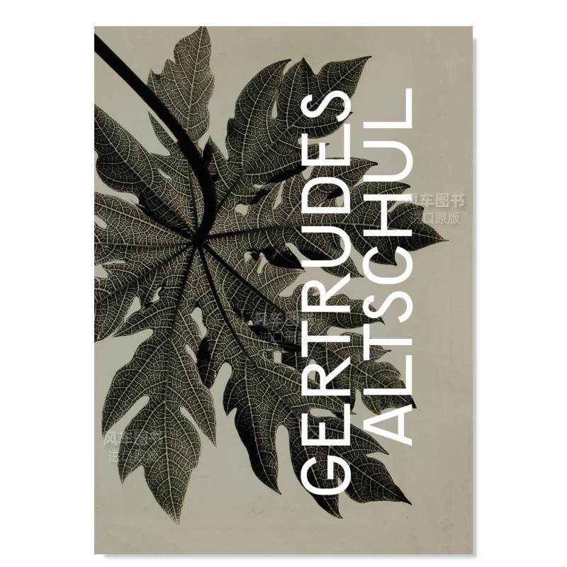 【现货】格特鲁德斯·阿尔特舒尔:花丝 gertrudes altschul: filigree