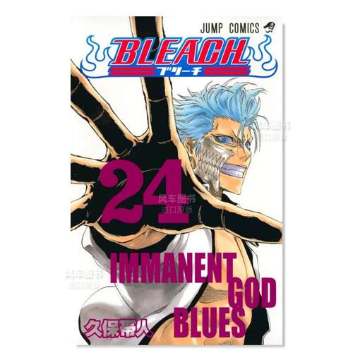 死神24BLEACH24日文漫画原版