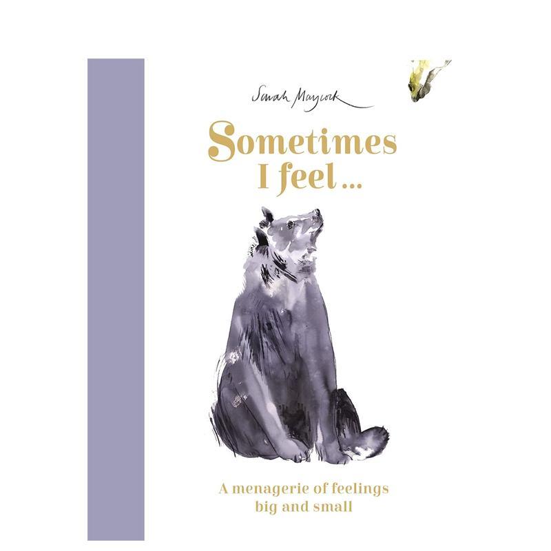 有时我感觉…：大大小小的情感