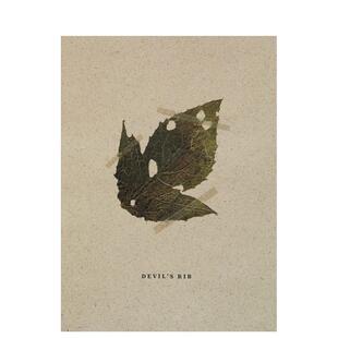 【现货】马特乌斯·科瓦利克:魔鬼的肋骨 Mateusz Kowalik: Devil’s Rib 原版英文摄影作品集图书