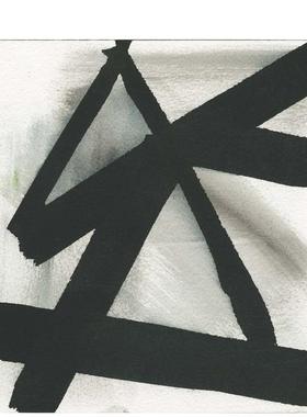 【预售】露易丝·菲什曼 Louise Fishman 原版英文艺术画册画集图书