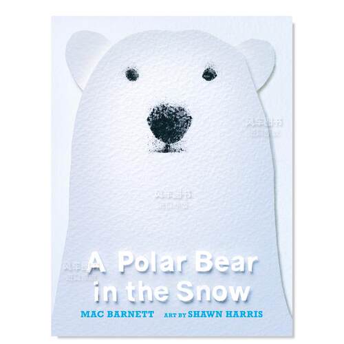 APolarBearintheSnow
