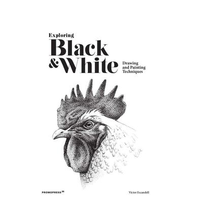 【预售】探索黑白：绘画技巧 Exploring Black & White: Drawing and Painting Techniques 原版英文艺术画册画集图书